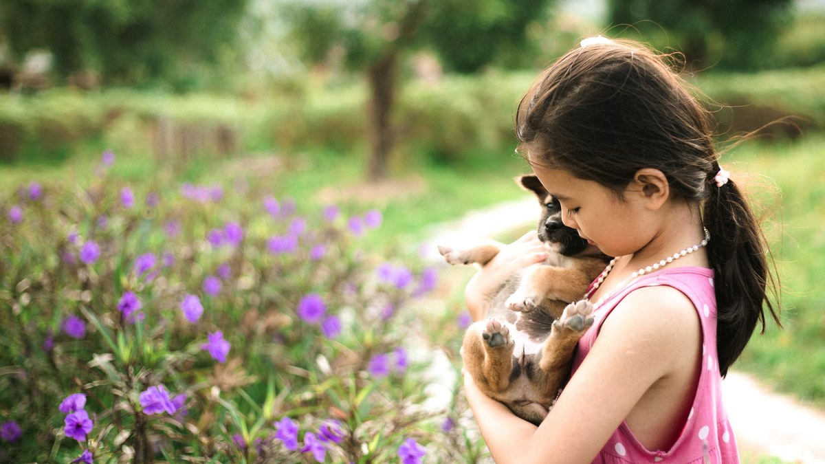 A young girl gently holding a brown puppy beside purple flowers